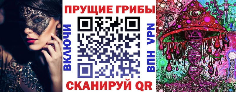 кракен маркетплейс Можга Псилоцибиновые грибы Psilocybe магазин наркотиков